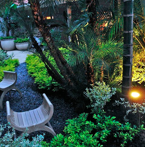 lorem ipsum dolor sit