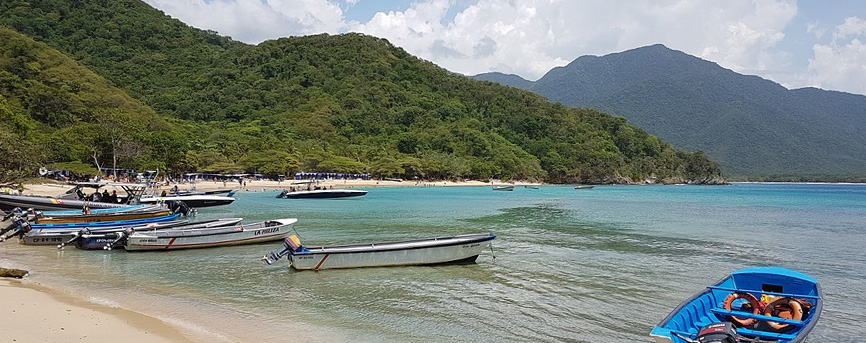 playas de Colombia con perro