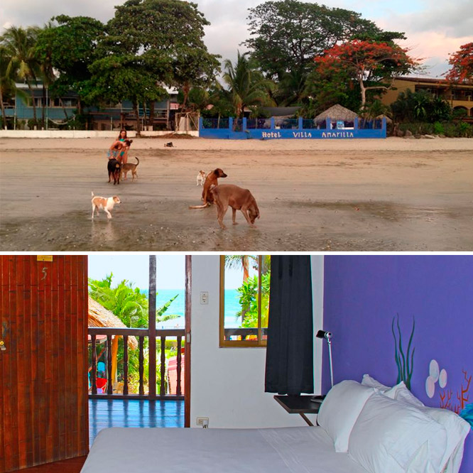 friendly booking | hotel que admite perros en Costa Rica