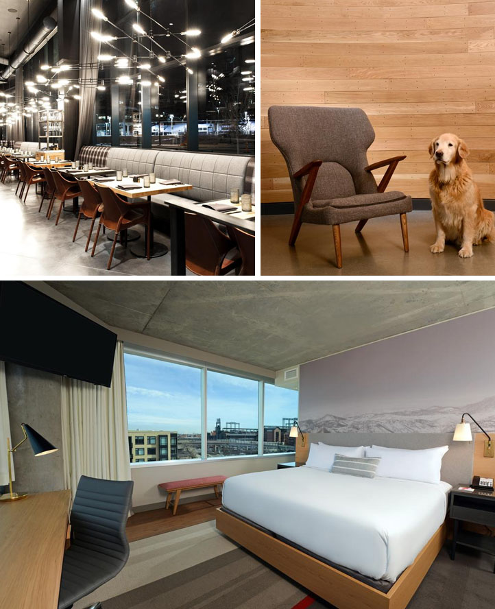 Hotel Indigo Denver Downtown pet friendly hotel