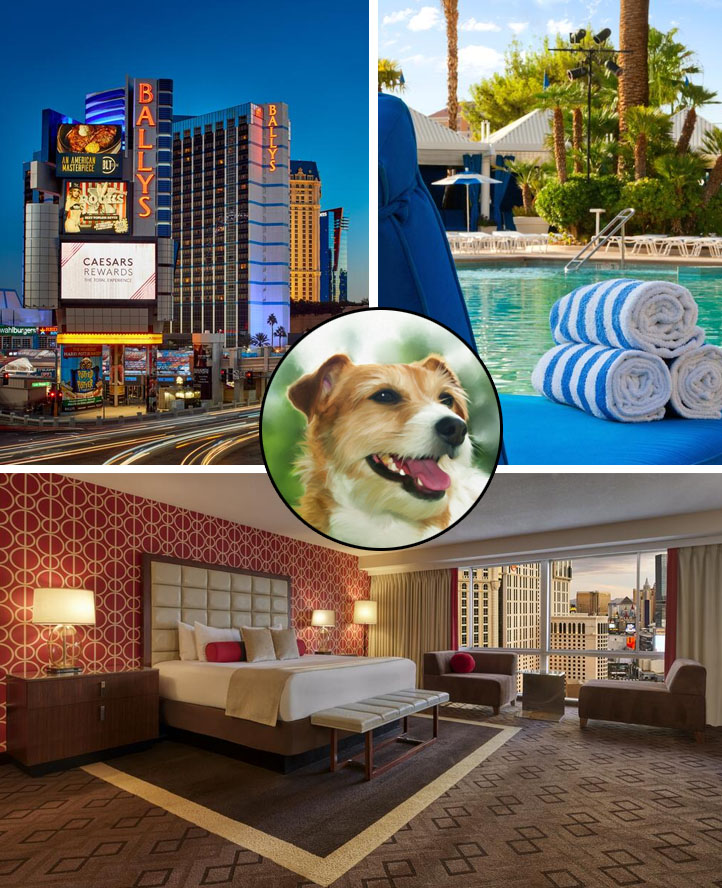 Pet friendly booking USA Book a dogfriendly hotel in Las Vegas