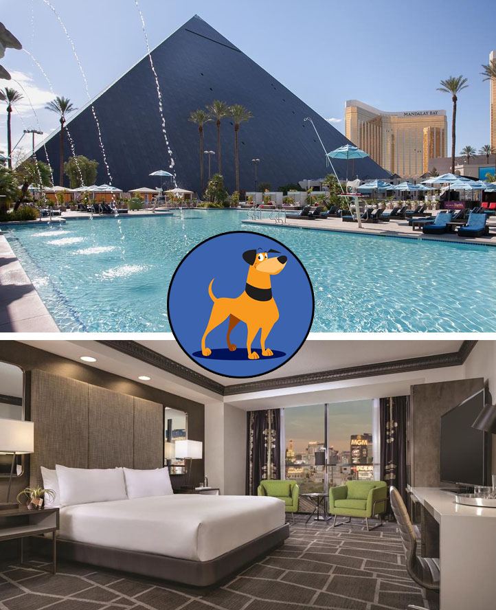 Luxor pet friendly hotel