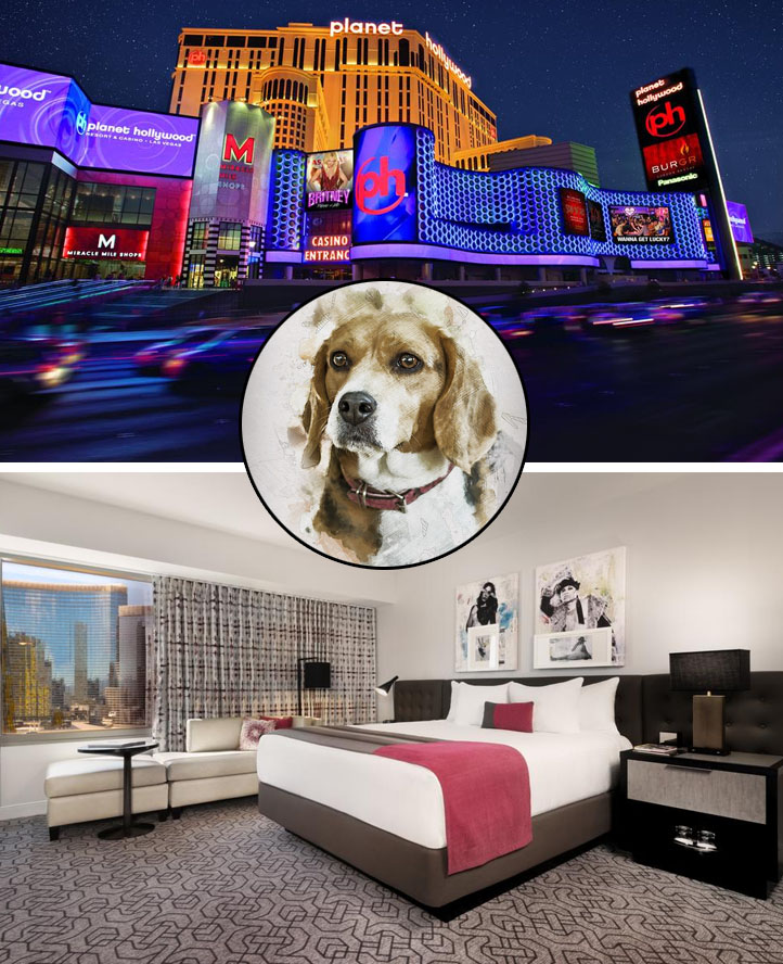 Planet Hollywood accepts dog in Las Vegas pet friendly hotel 