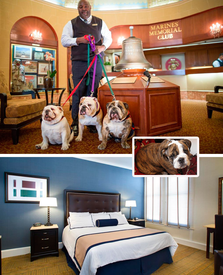 Marines' Memorial Club & Hotel Union Square pet friendly hotel