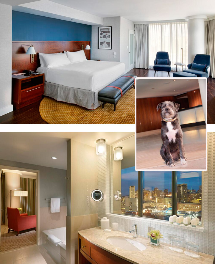 InterContinental San Francisco pet friendly hotel 