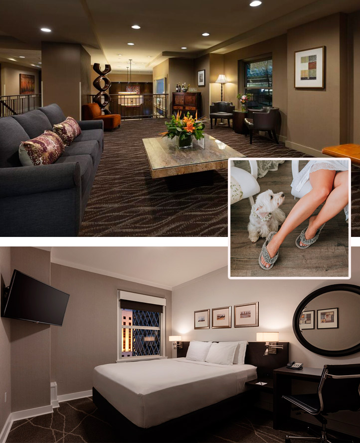 Executive Hotel Pacific pet friendly hotel 