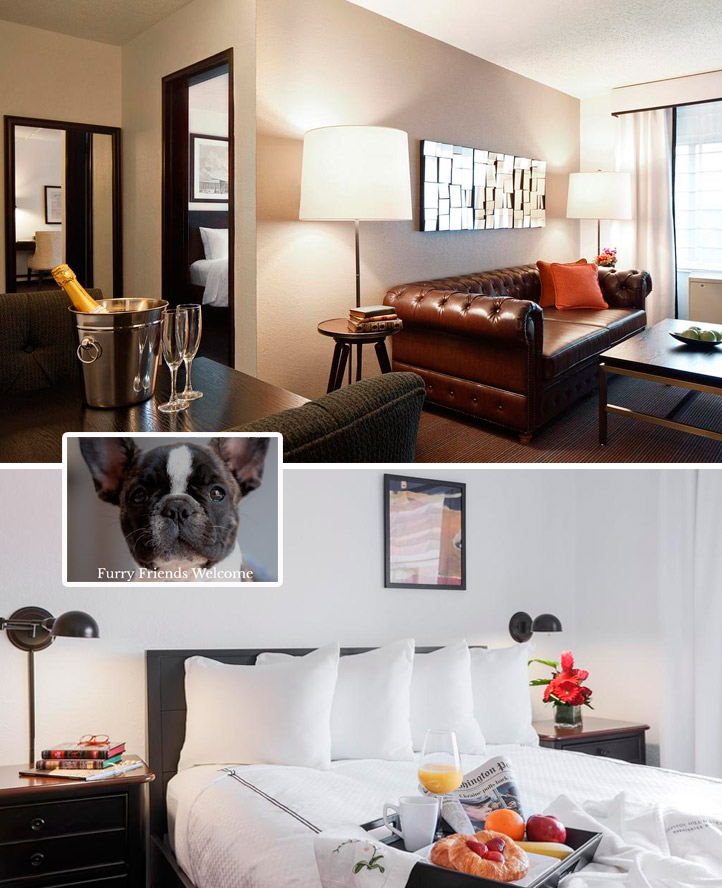 Capitol Hill Hotel pet friendly hotel