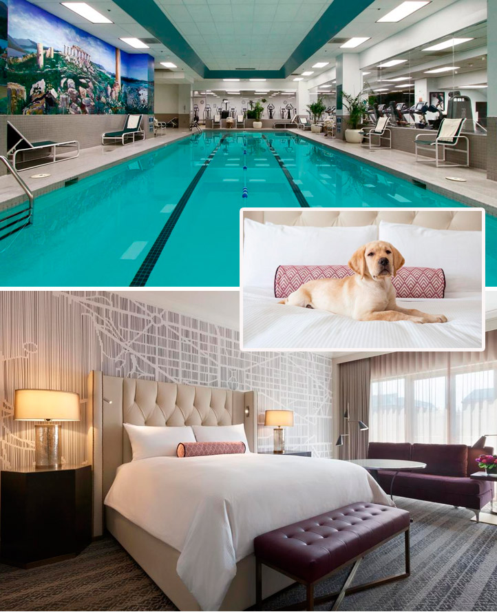 The Fairmont Washington DC pet friendly hotel