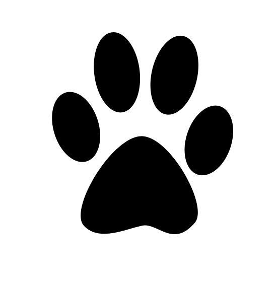 lorem ipsum dolor sit