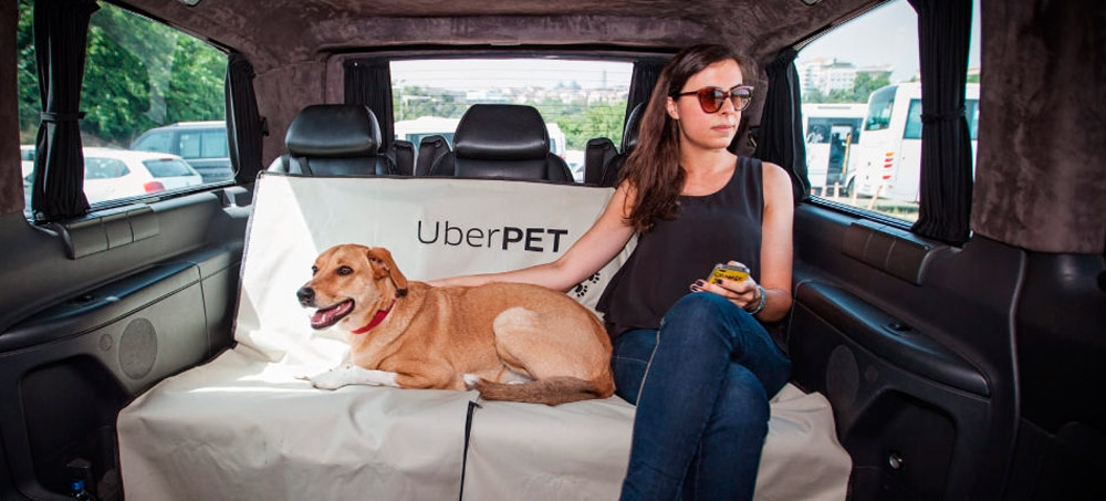 Transporte petfriendly